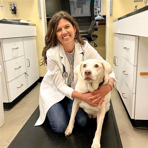 Peachtree hills animal hospital - Peachtree Hills Animal Hospital. January 5, 2016 ·. Welcome back to Dr. Keri Weyl. We are happy to have her back! Dr. Weyl will be in the office seeing appointments on Wednesdays and Thursdays starting tomorrow. peachtreehillsvet.com.